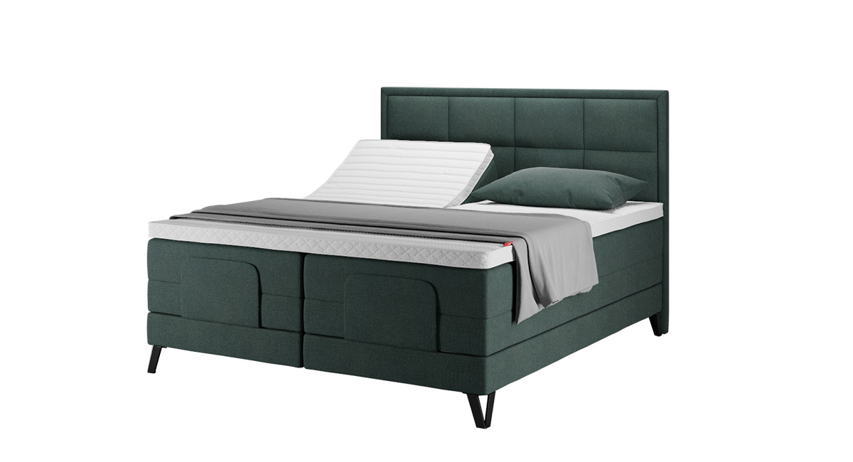 Wonderland 532 Adjustable bed