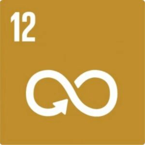 UN SDG 12