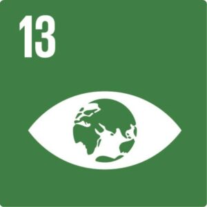 UN SDG 13